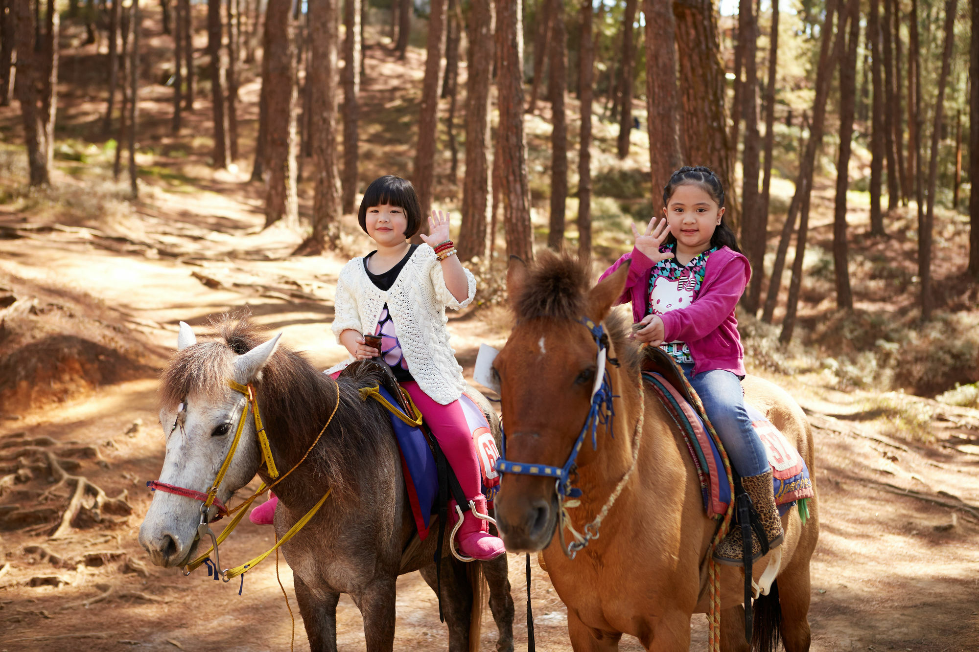 The Manor At Camp John Hay Ξενοδοχείο Baguio City Εξωτερικό φωτογραφία
